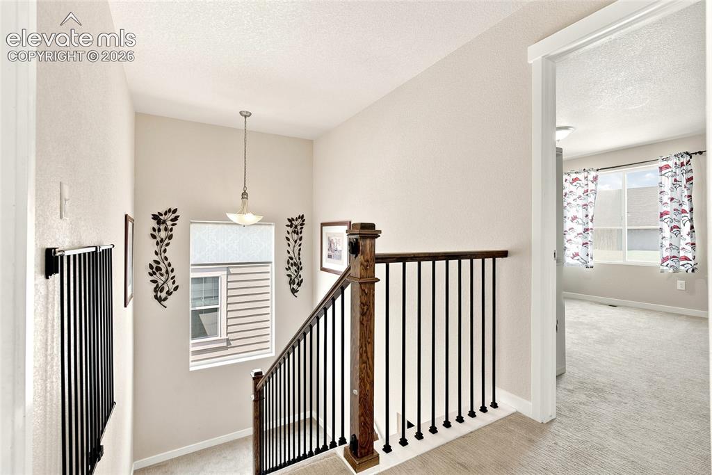 2382 Pelican Bay Drive Monument CO 80132