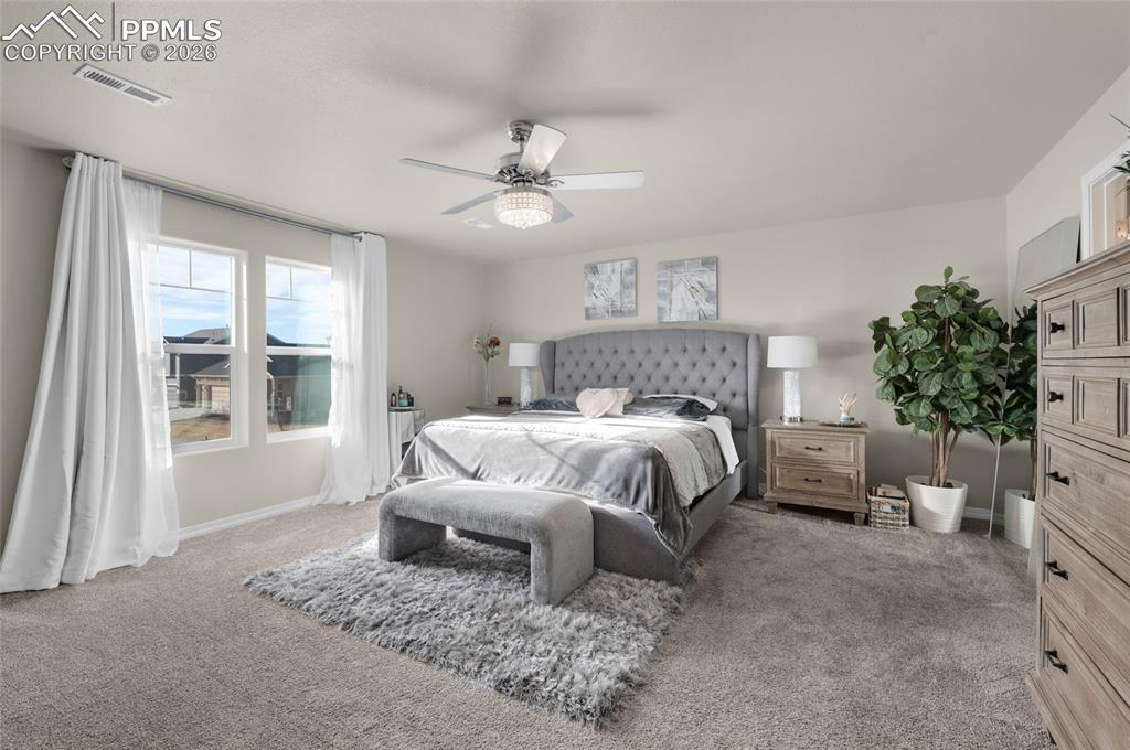 9033 Yellowtail Way Colorado Springs CO 80908