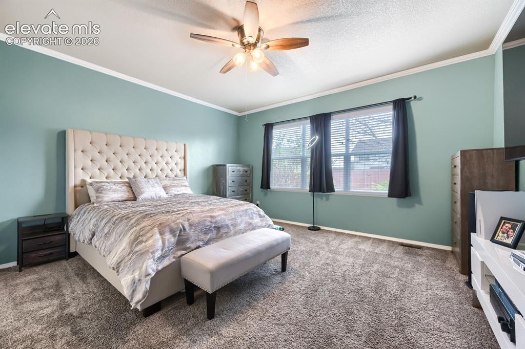 9843 Walnut Canyon Drive Peyton CO 80831