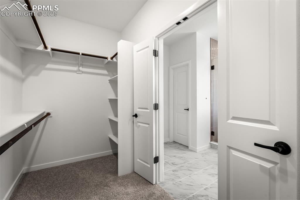9256 Wolf Valley Drive Colorado Springs CO 80924