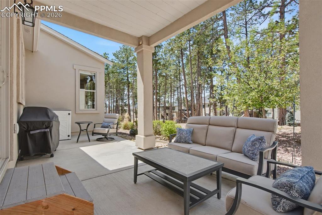16464 Woodward Terrace Monument CO 80132