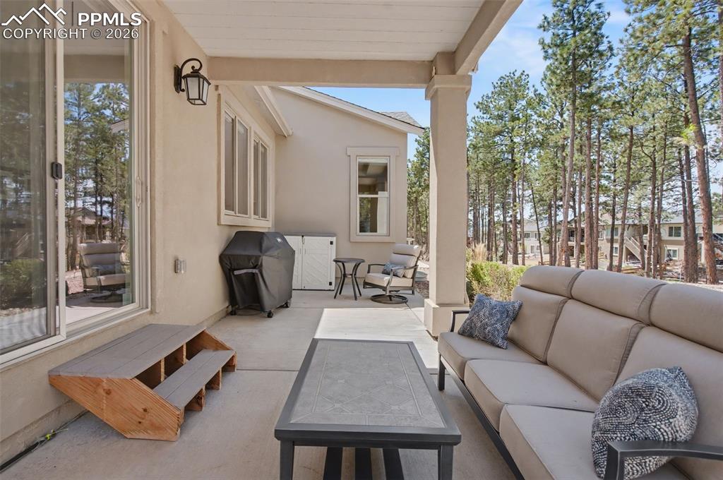 16464 Woodward Terrace Monument CO 80132