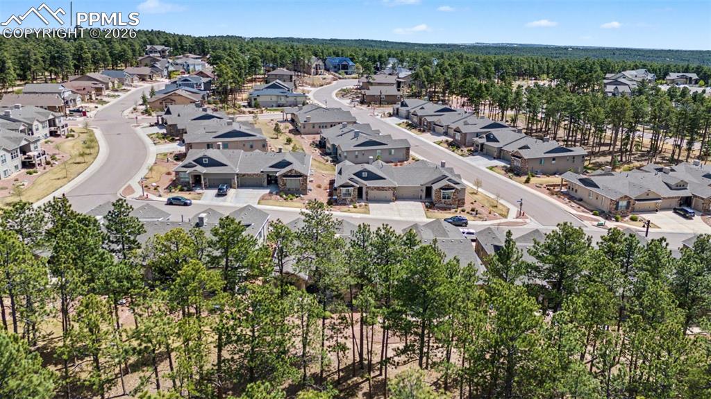 16464 Woodward Terrace Monument CO 80132