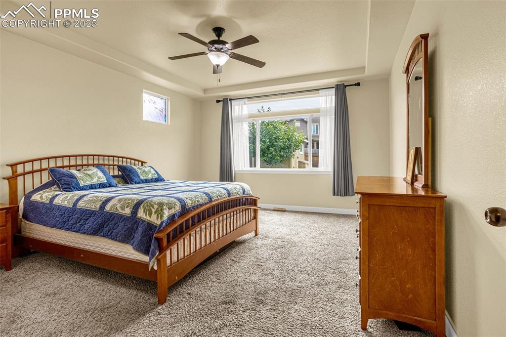 7675 Bigtooth Maple Drive Colorado Springs CO 80925