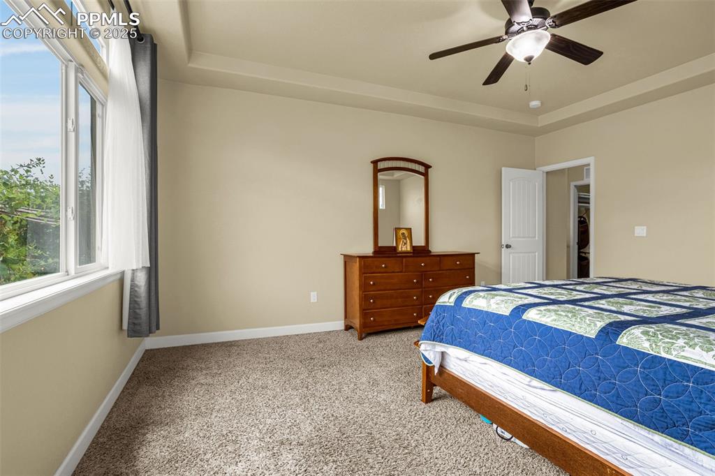 7675 Bigtooth Maple Drive Colorado Springs CO 80925