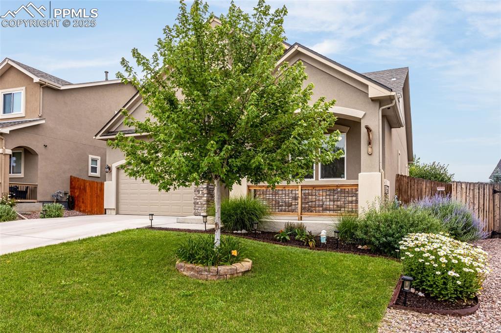 7675 Bigtooth Maple Drive Colorado Springs CO 80925