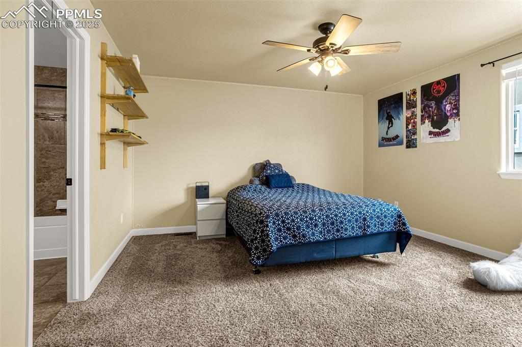 7675 Bigtooth Maple Drive Colorado Springs CO 80925