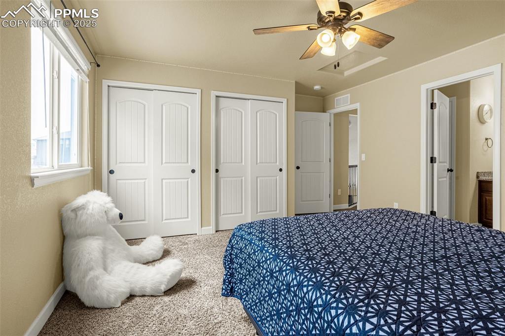 7675 Bigtooth Maple Drive Colorado Springs CO 80925