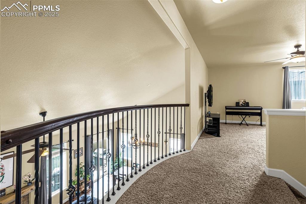 7675 Bigtooth Maple Drive Colorado Springs CO 80925