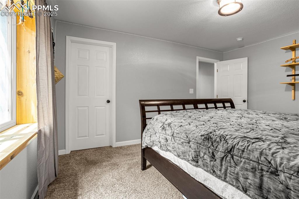 7675 Bigtooth Maple Drive Colorado Springs CO 80925