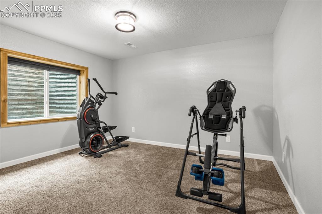 7675 Bigtooth Maple Drive Colorado Springs CO 80925