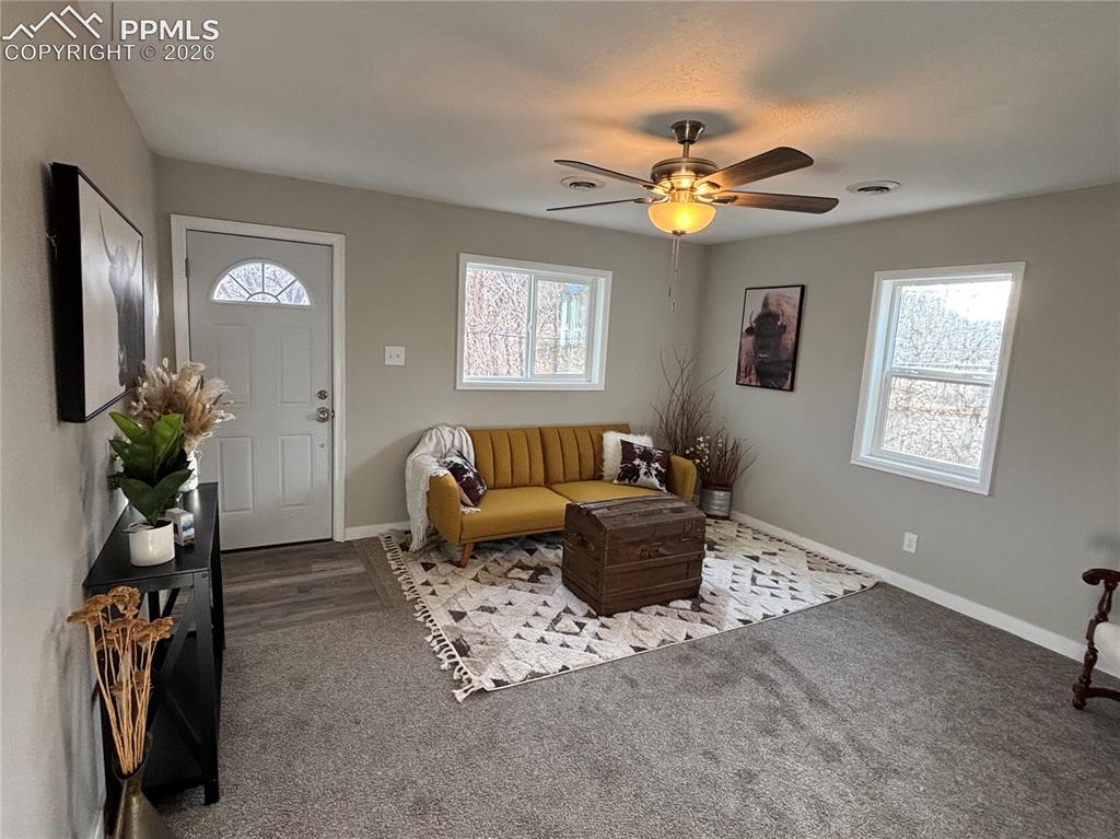 911 Elm Avenue Canon City CO 81212