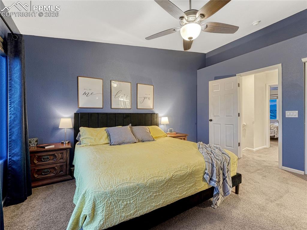 6553 Harvey Lane Colorado Springs CO 80923