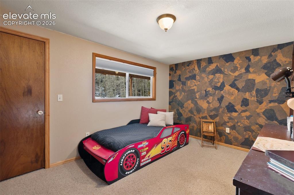 2809 Edlowe Road Woodland Park CO 80863