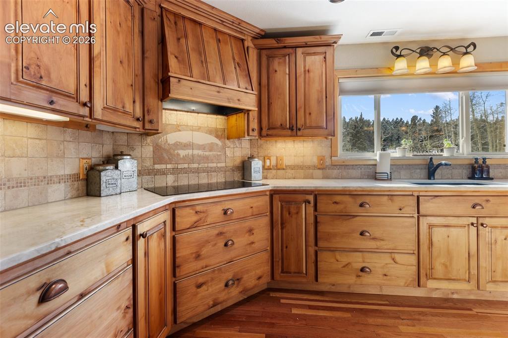 2809 Edlowe Road Woodland Park CO 80863