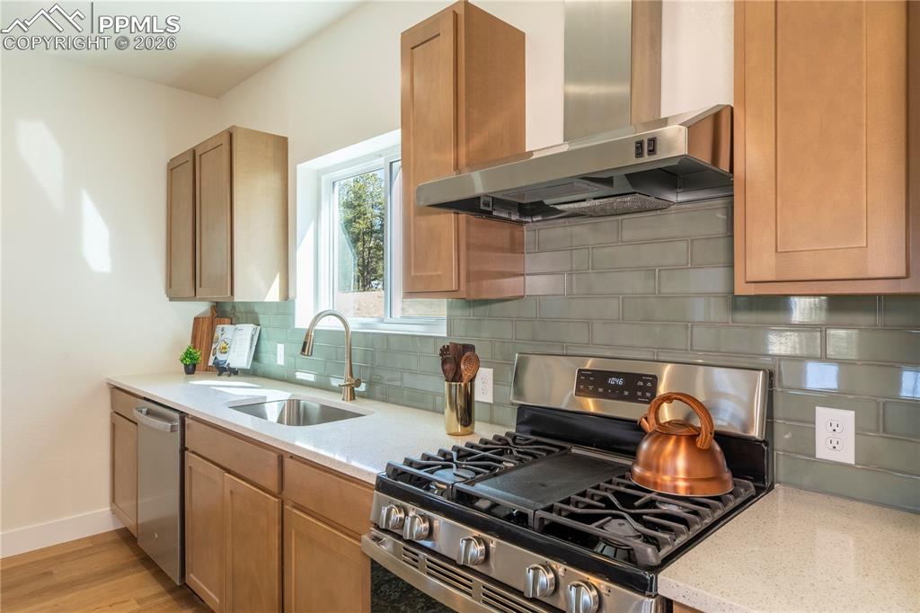 484 Due South Road Florissant CO 80816