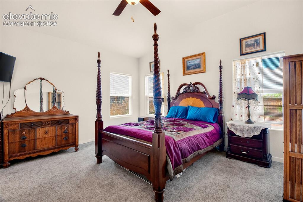 8746 Bittercress Drive Colorado Springs CO 80925