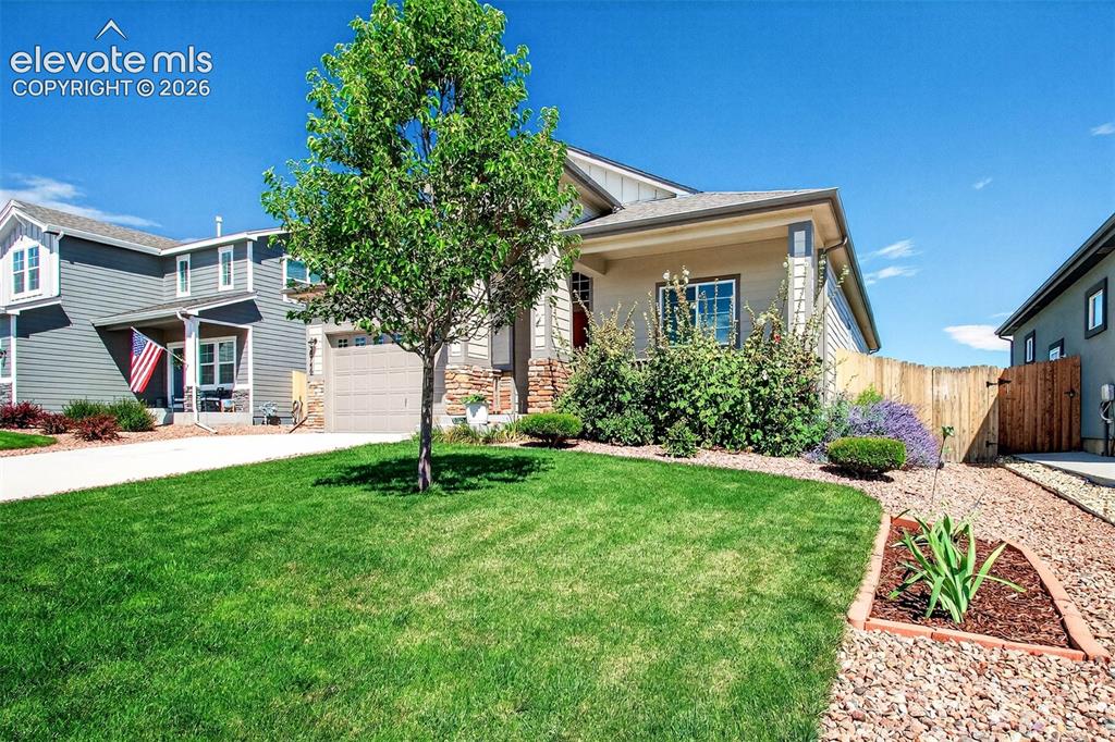 8746 Bittercress Drive Colorado Springs CO 80925