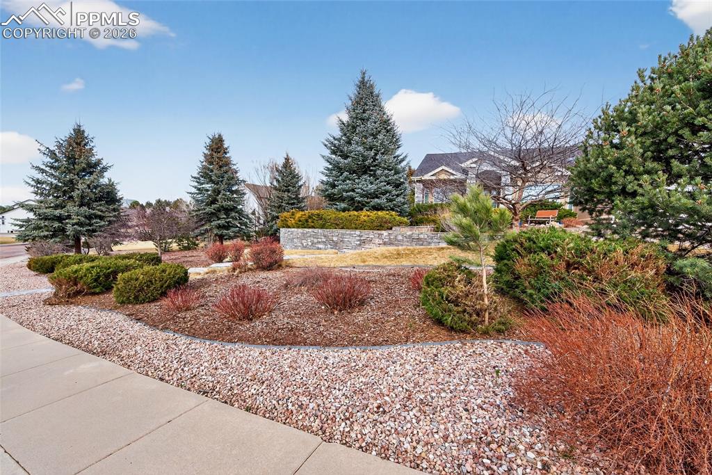 15151 Ridgefield Lane Colorado Springs CO 80921