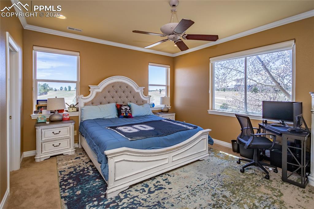 19230 Lochmere Court Monument CO 80132
