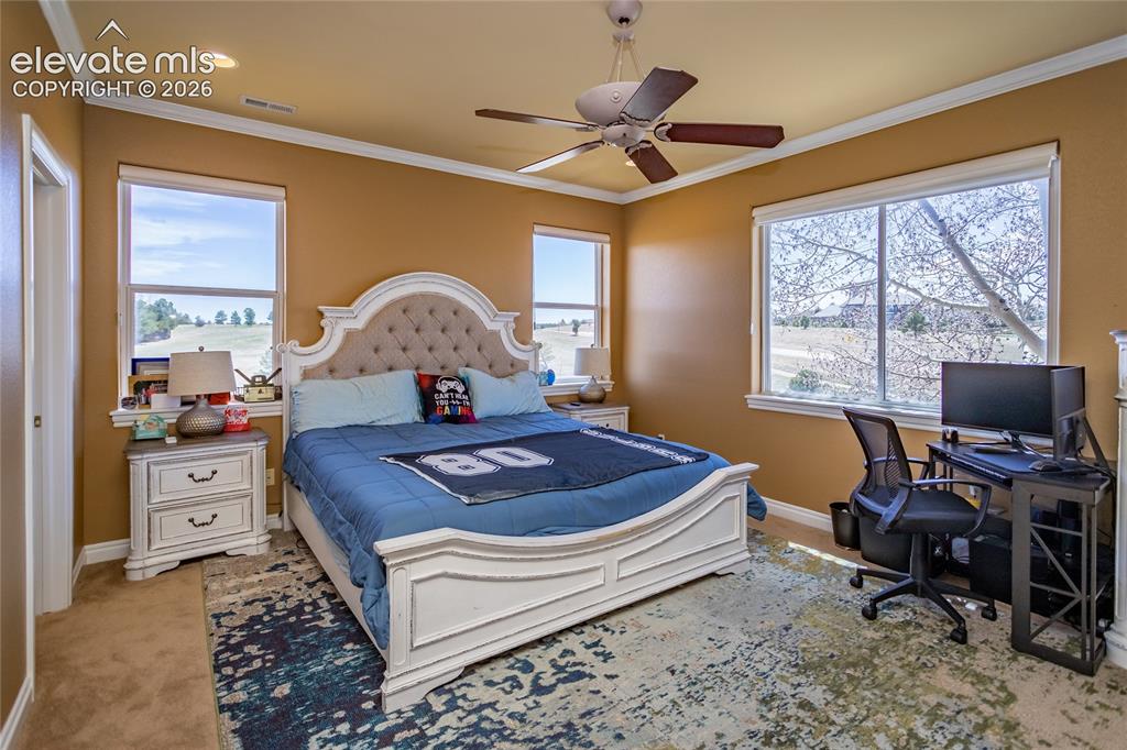 19230 Lochmere Court Monument CO 80132