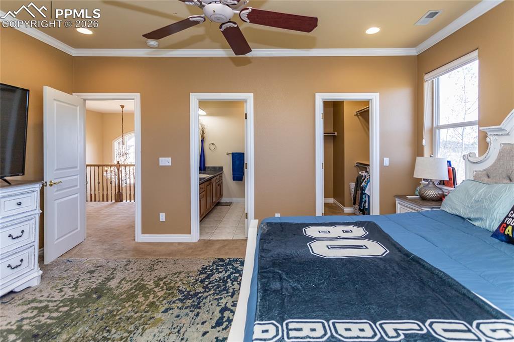 19230 Lochmere Court Monument CO 80132