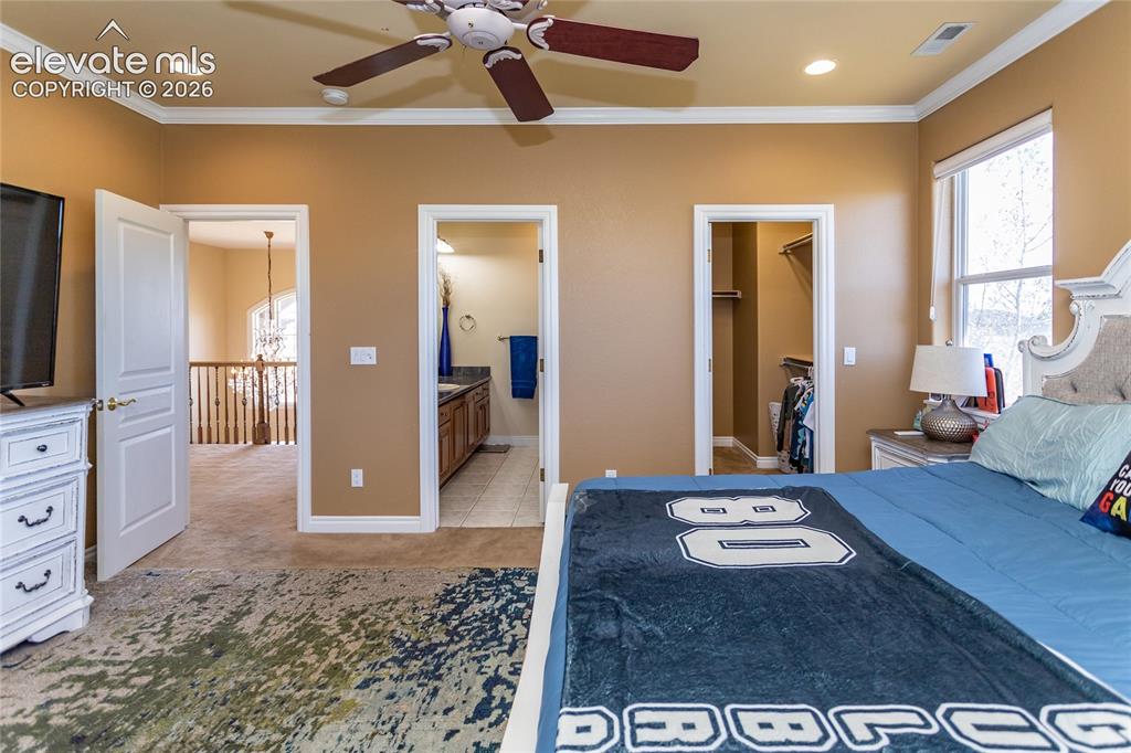 19230 Lochmere Court Monument CO 80132