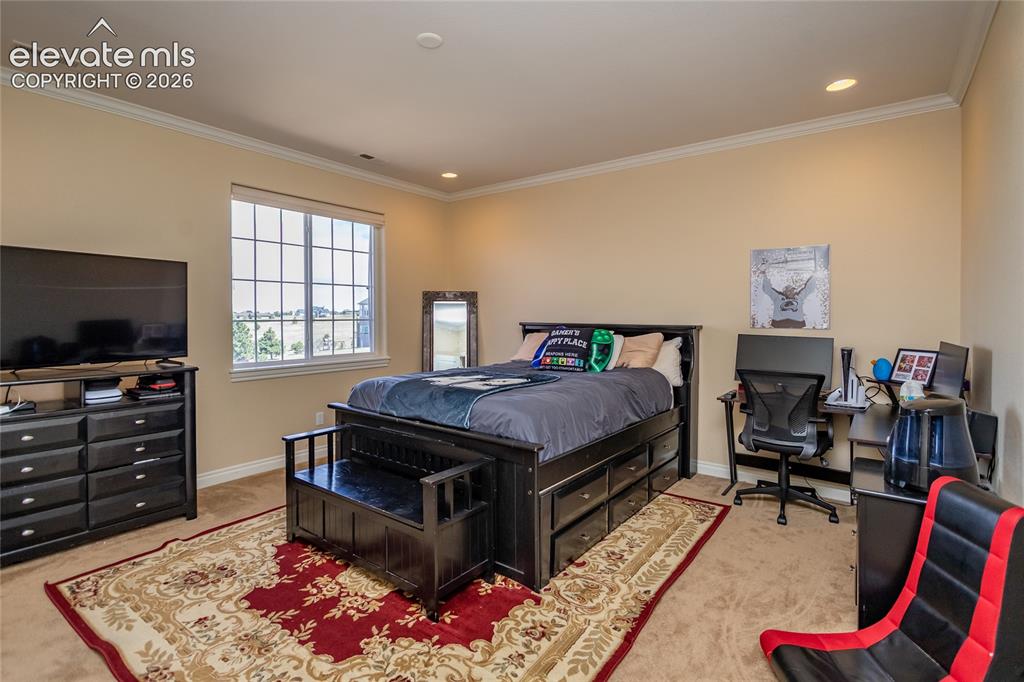 19230 Lochmere Court Monument CO 80132