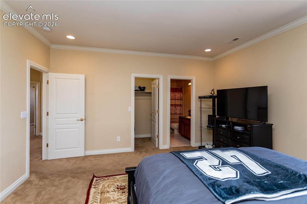 19230 Lochmere Court Monument CO 80132