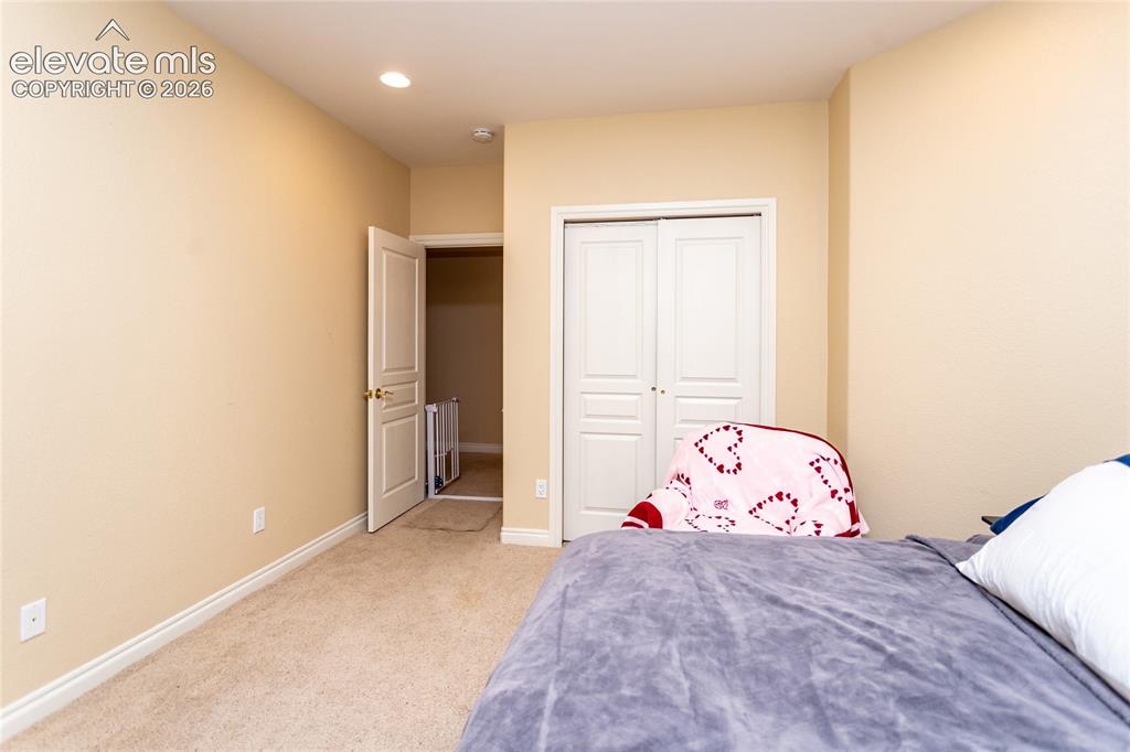 19230 Lochmere Court Monument CO 80132