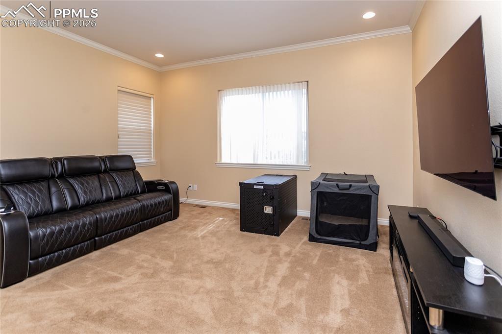19230 Lochmere Court Monument CO 80132