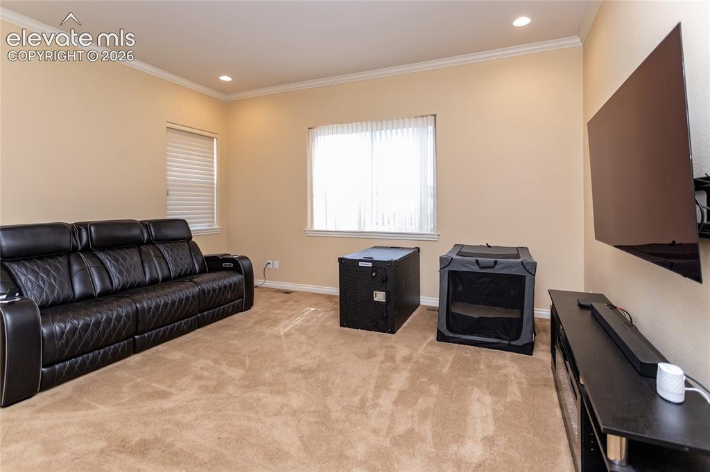 19230 Lochmere Court Monument CO 80132