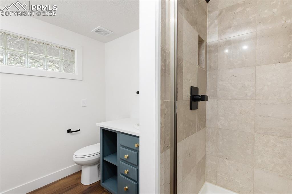 300 Piney Point Lane Woodland Park CO 80863