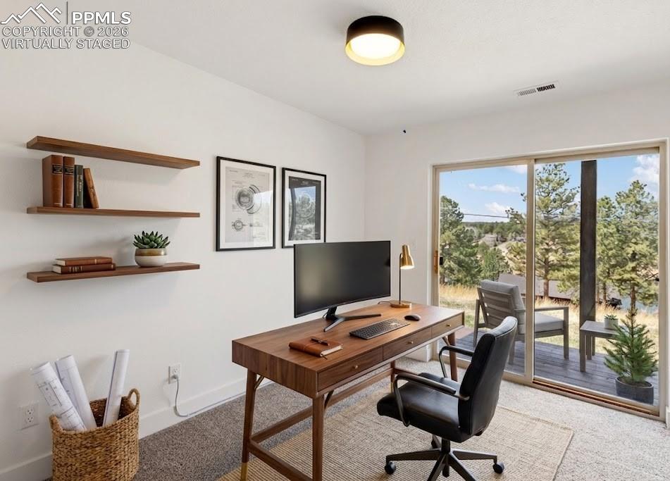 300 Piney Point Lane Woodland Park CO 80863