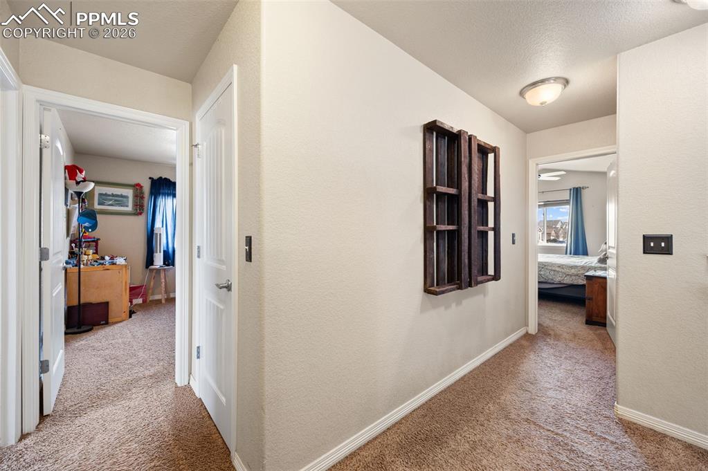 6302 Bearcat Loop Colorado Springs CO 80925