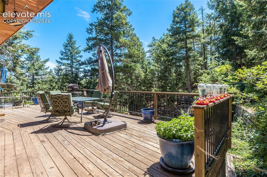 2924 Valley Park Drive Larkspur CO 80118