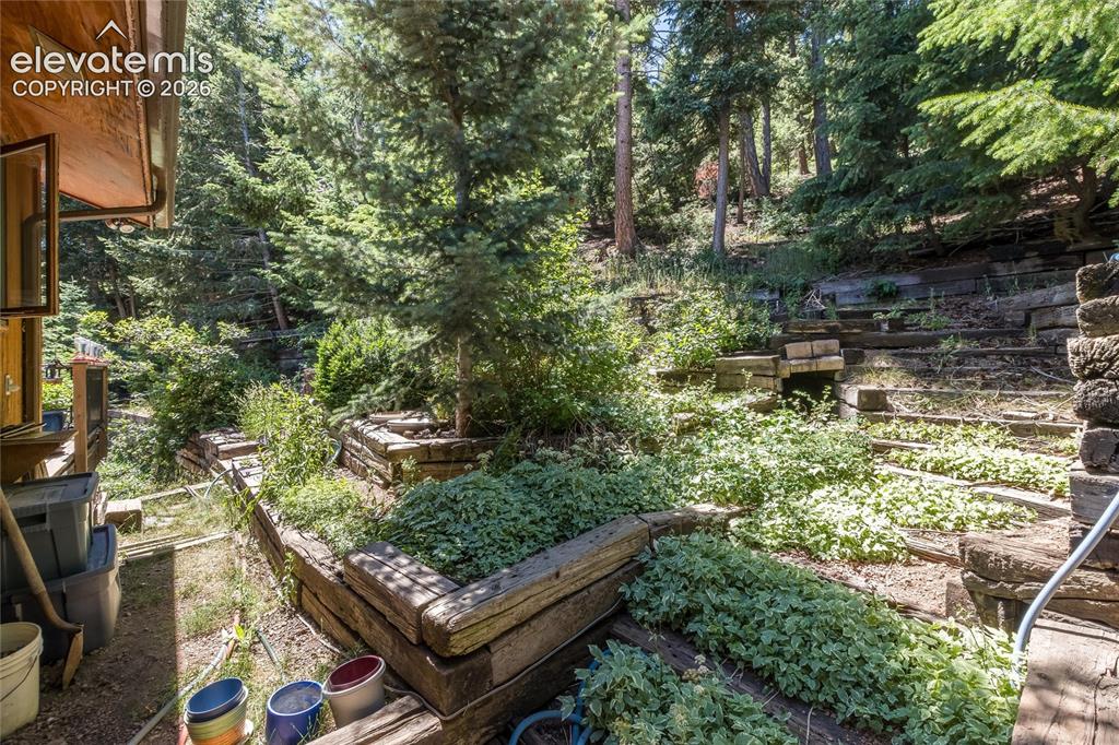 2924 Valley Park Drive Larkspur CO 80118