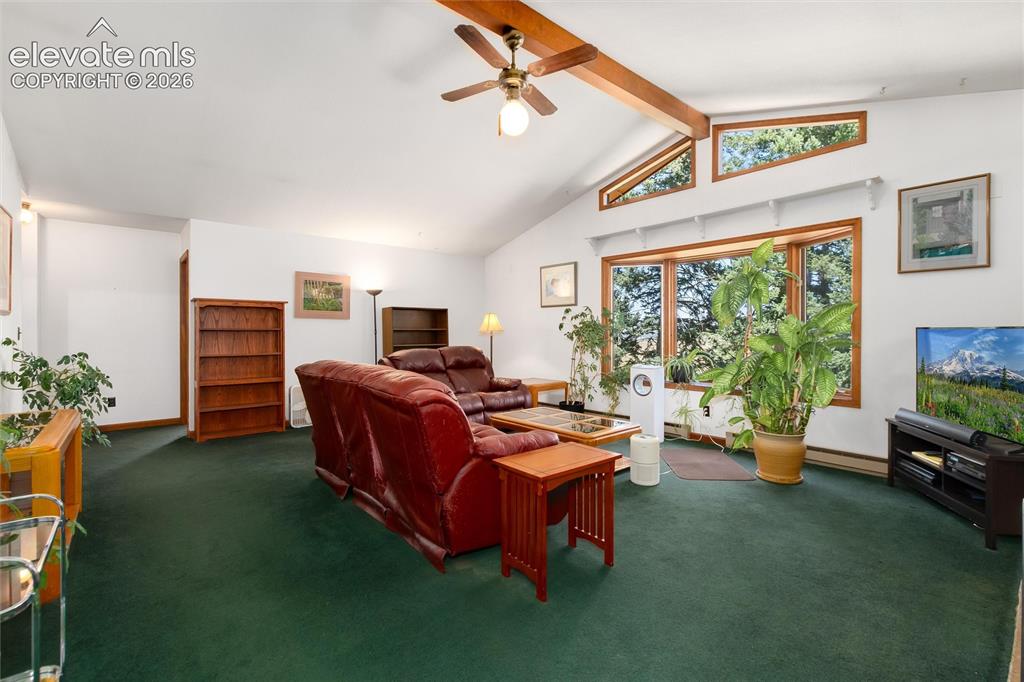 2924 Valley Park Drive Larkspur CO 80118