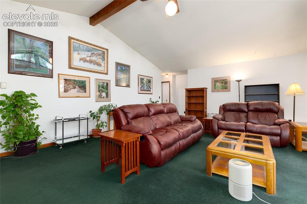 2924 Valley Park Drive Larkspur CO 80118