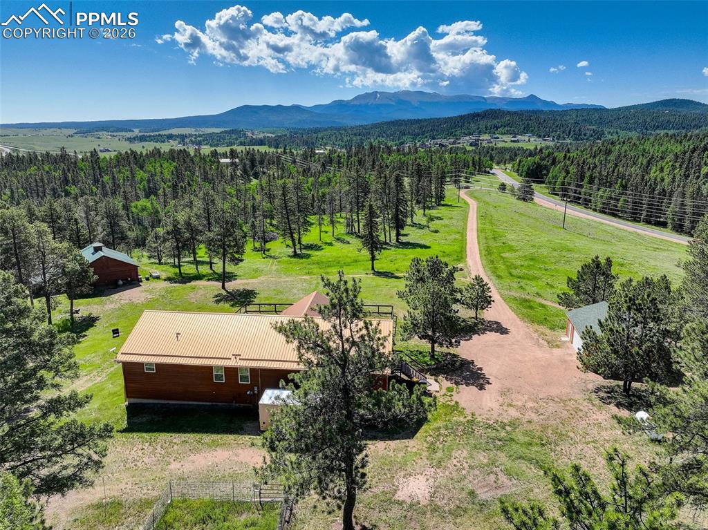 4797 County Road 42 Divide CO 80814