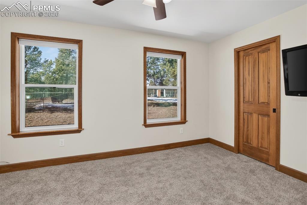 4797 County Road 42 Divide CO 80814