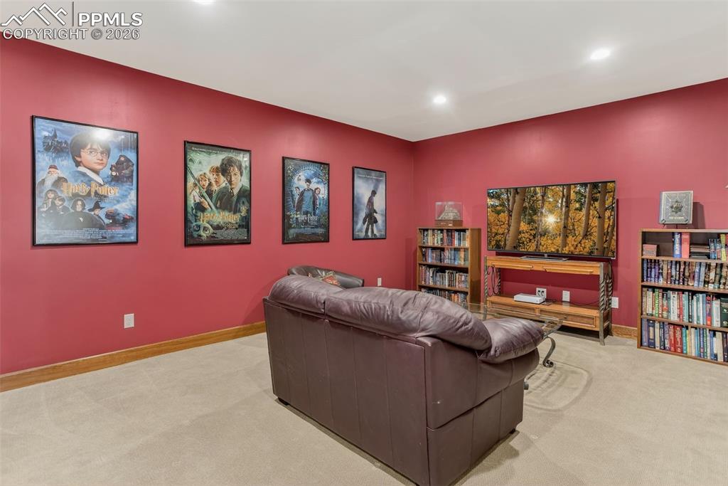 4797 County Road 42 Divide CO 80814