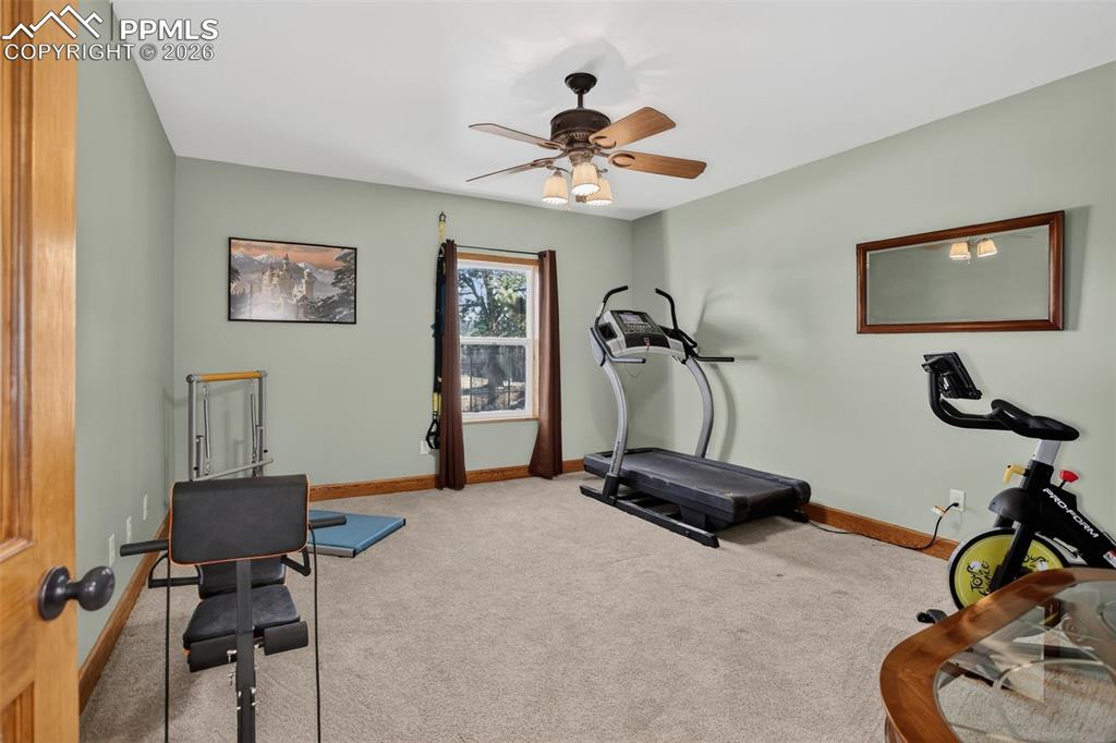 4797 County Road 42 Divide CO 80814