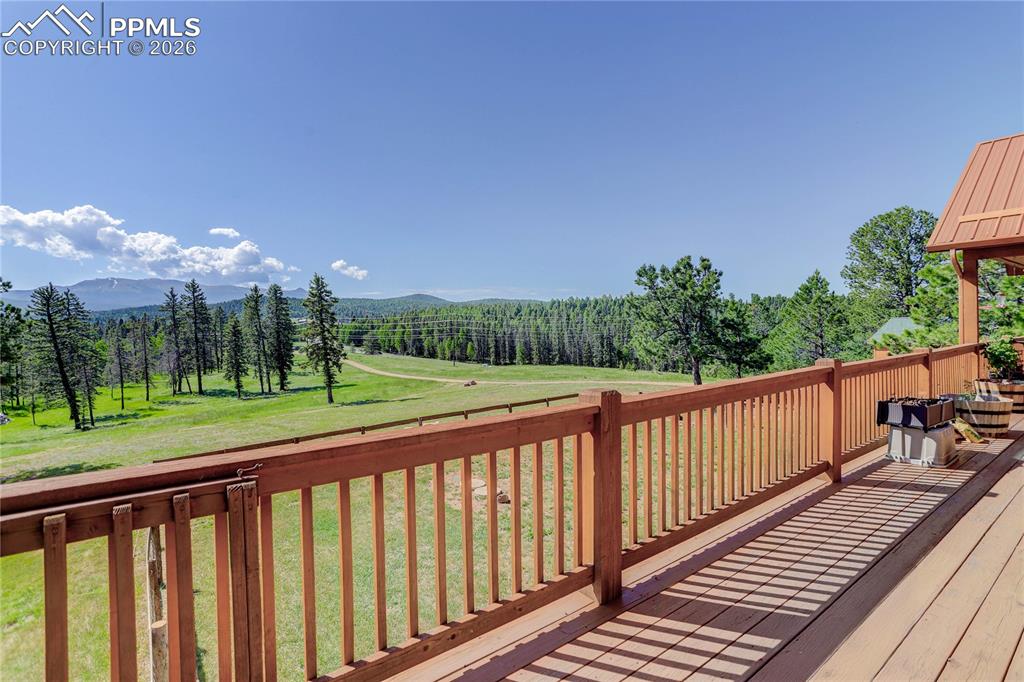 4797 County Road 42 Divide CO 80814