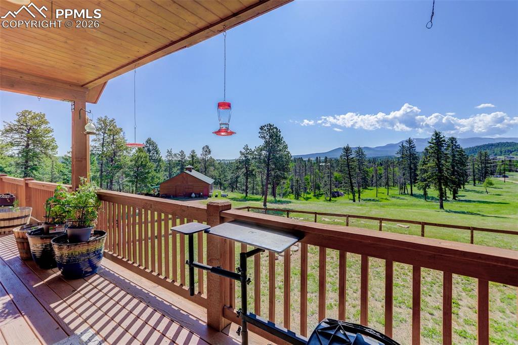 4797 County Road 42 Divide CO 80814