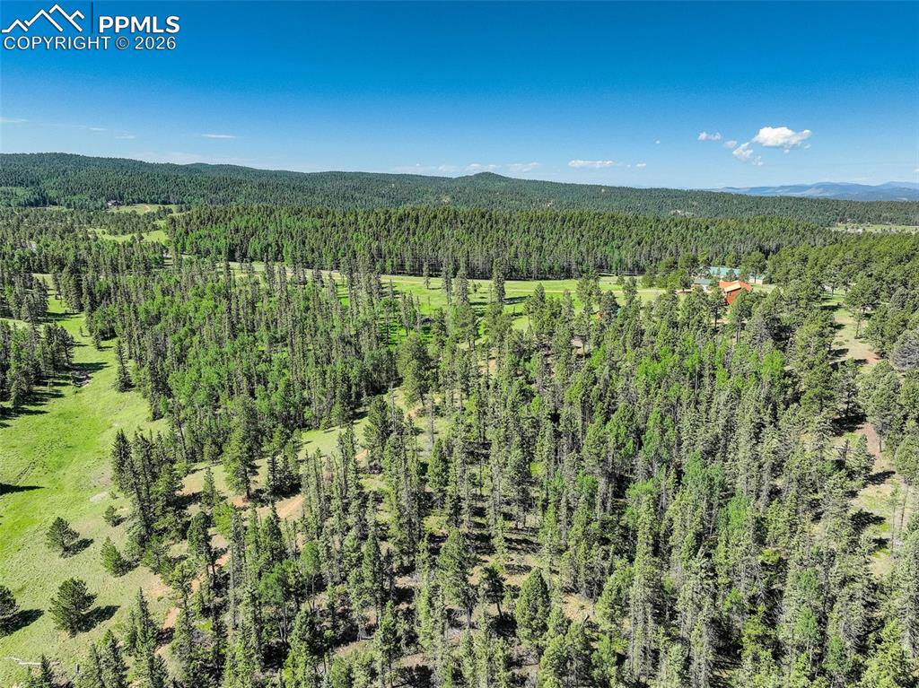 4797 County Road 42 Divide CO 80814