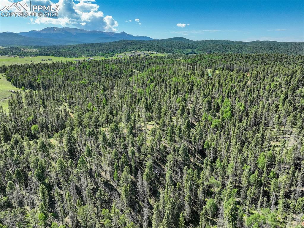 4797 County Road 42 Divide CO 80814