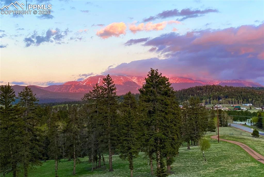 4797 County Road 42 Divide CO 80814