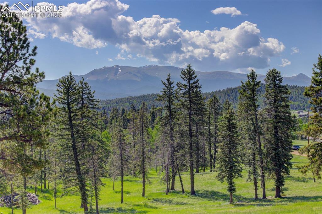 4797 County Road 42 Divide CO 80814