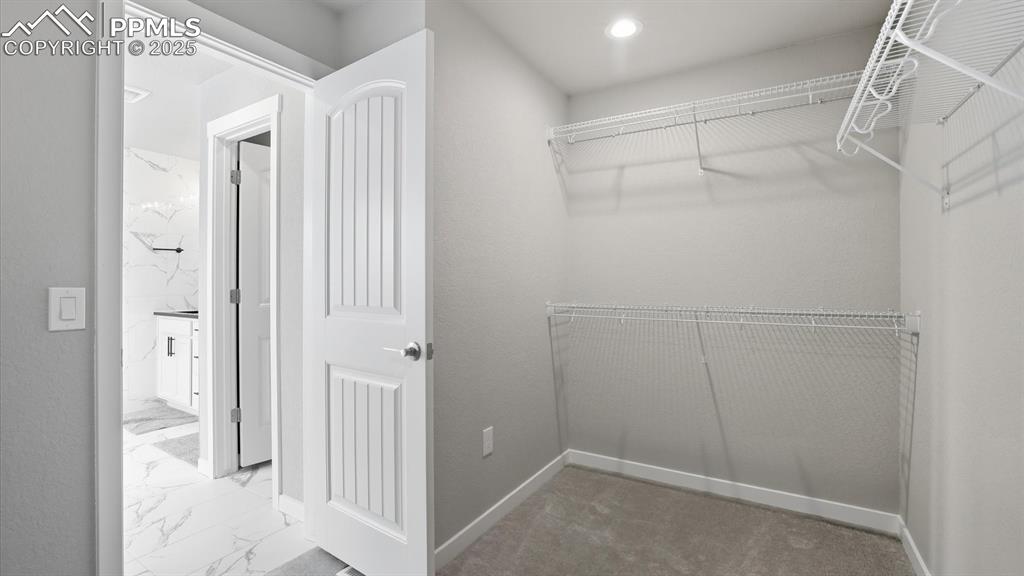 9462 Allouche Street Colorado Springs CO 80924